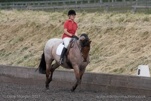 ISIS Dressage Challenge 2008